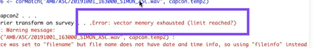 Error: Vector Memory Exhausted