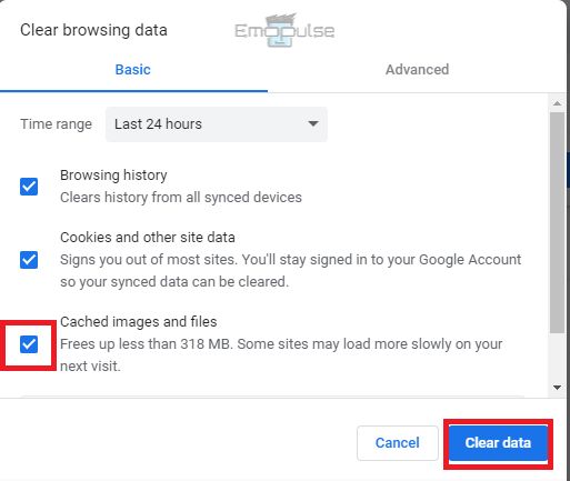 clear data browser