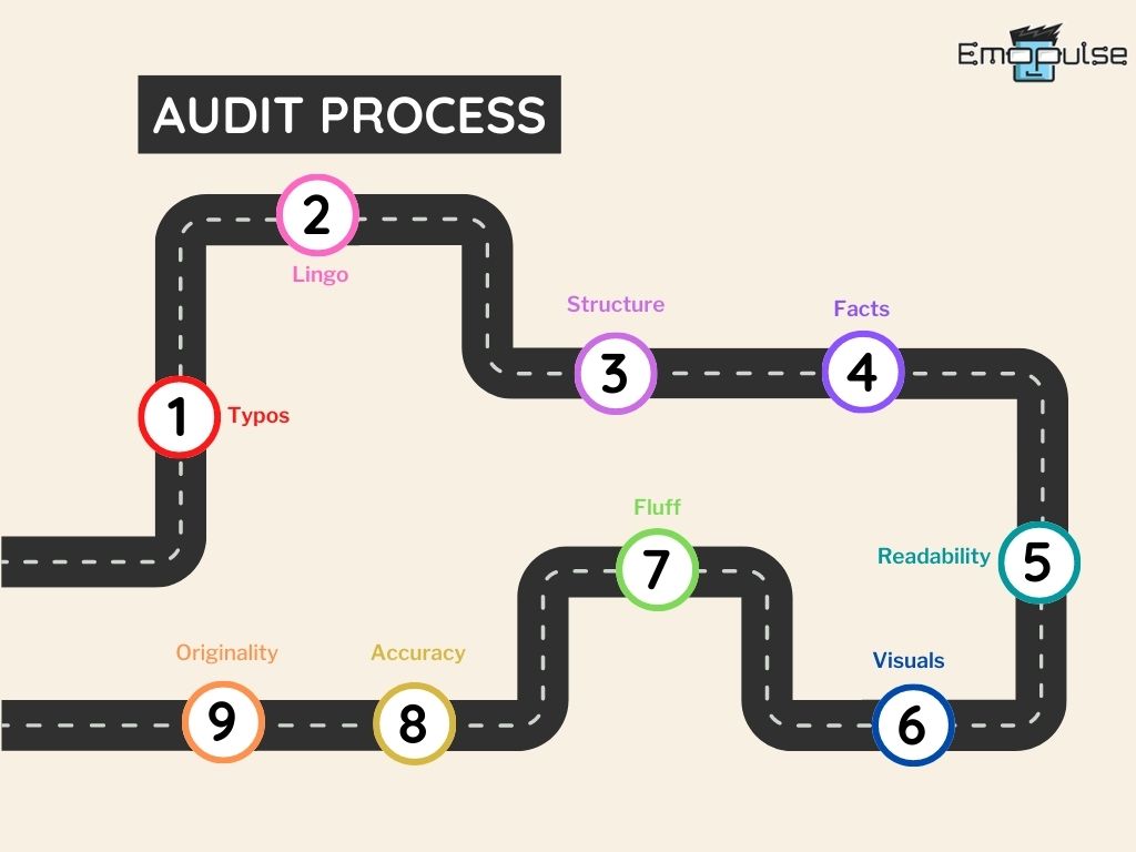Audit Process 