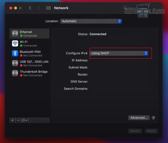 network settings mac