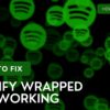 Spotify Wrapped Not Working