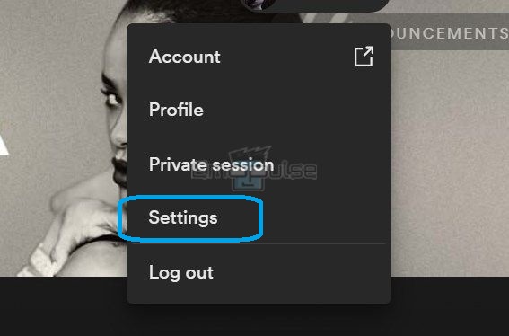 how to stop spotify from playing suggested songs