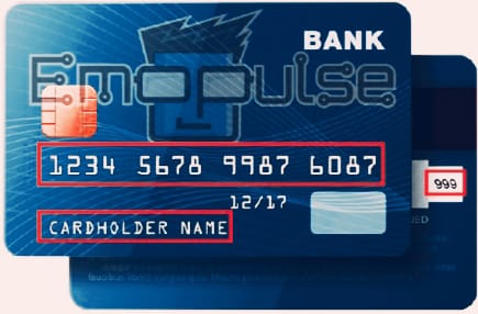 Credit/debit card information ( Image credits: Emopulse )