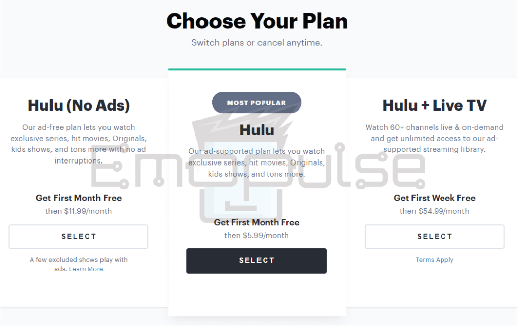 Hulu Subscription – Image Credit (Emopulse)